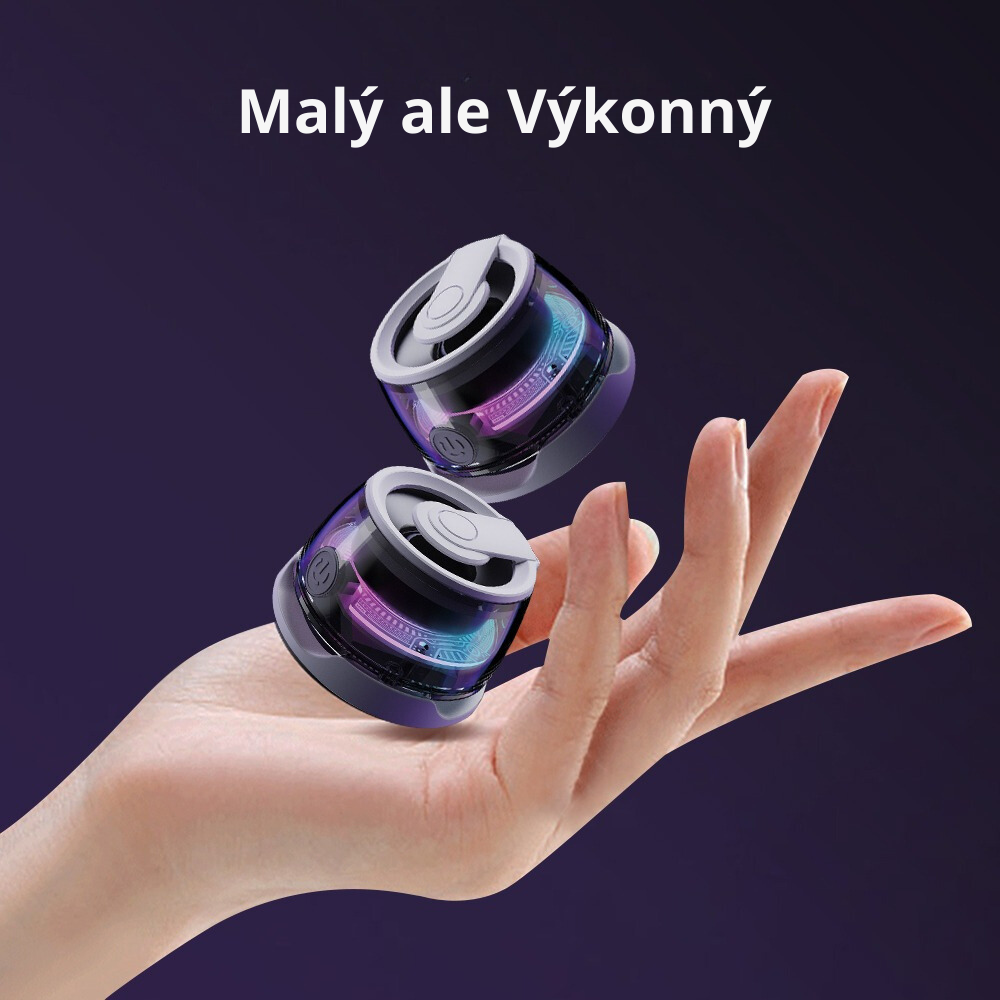 Reproduktor
