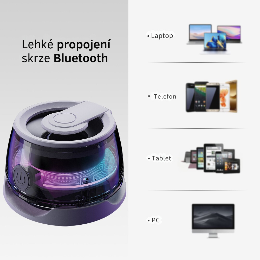 Reproduktor